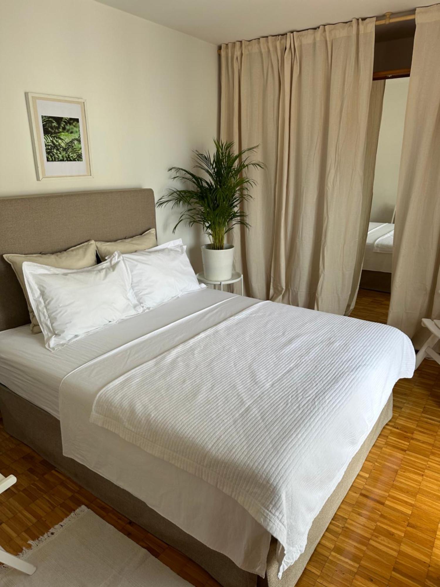 Apartmani Krk 克尔克 外观 照片